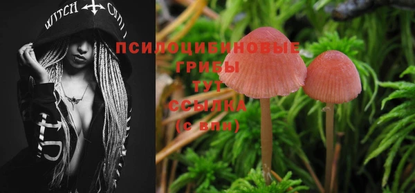 альфа пвп Заволжье